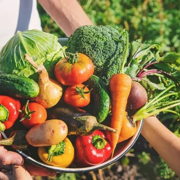 organic7 organic7